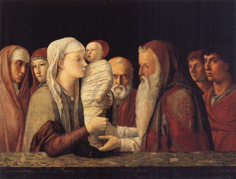 Presentation in the Temple, Gentile Bellini